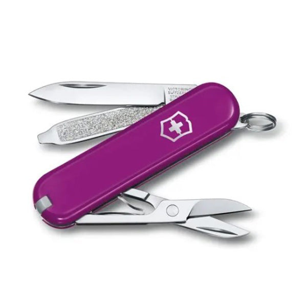 victorinox-classic-sd-pocket-knife-tasty-grape_600x.jpg